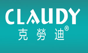 2017年國內(nèi)最具消費(fèi)者口碑的感應(yīng)衛(wèi)浴潔具十大品牌