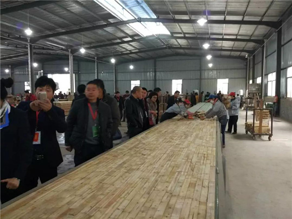 “315”，金利源健康板材給您打一支品質強心針！