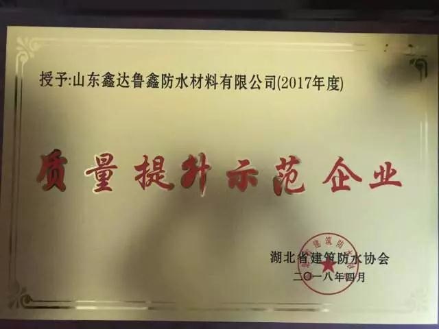 品牌大事|魯鑫防水參加2017湖北省建筑防水行業質量提升工作會議