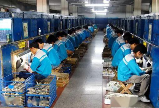品牌招商|輝煌廚衛7大優勢，帶你快速掘金!