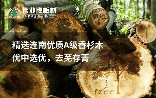 品牌發展|偉業牌板材25年匠心制造，中國板材C位品牌