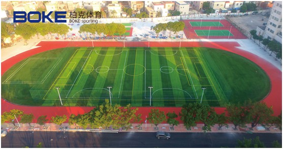 柏克體育：照亮運(yùn)動(dòng)之美，智造未來(lái)之光