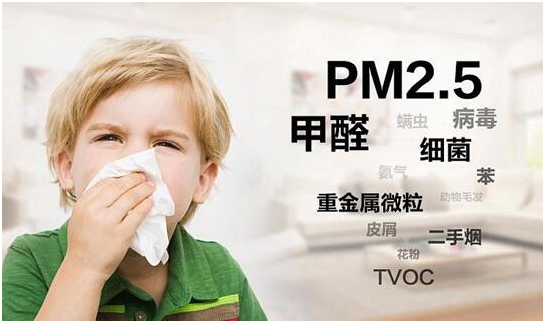 綠樹漆|“凈味呼吸”系列漆，開啟家居新“凈”界
