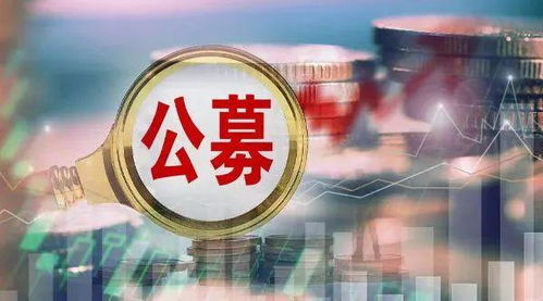 尷尬流拍 公募基金股權(quán)“香餑餑”為何沒(méi)人啃？
