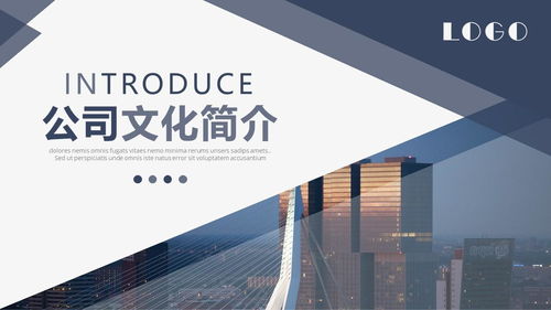 商務(wù)畫冊(cè)風(fēng)公司簡(jiǎn)介產(chǎn)品宣傳ppt模板